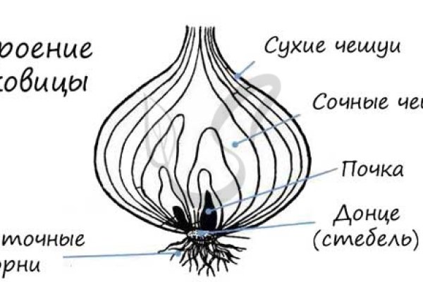 Кракен сайт krakens13 at